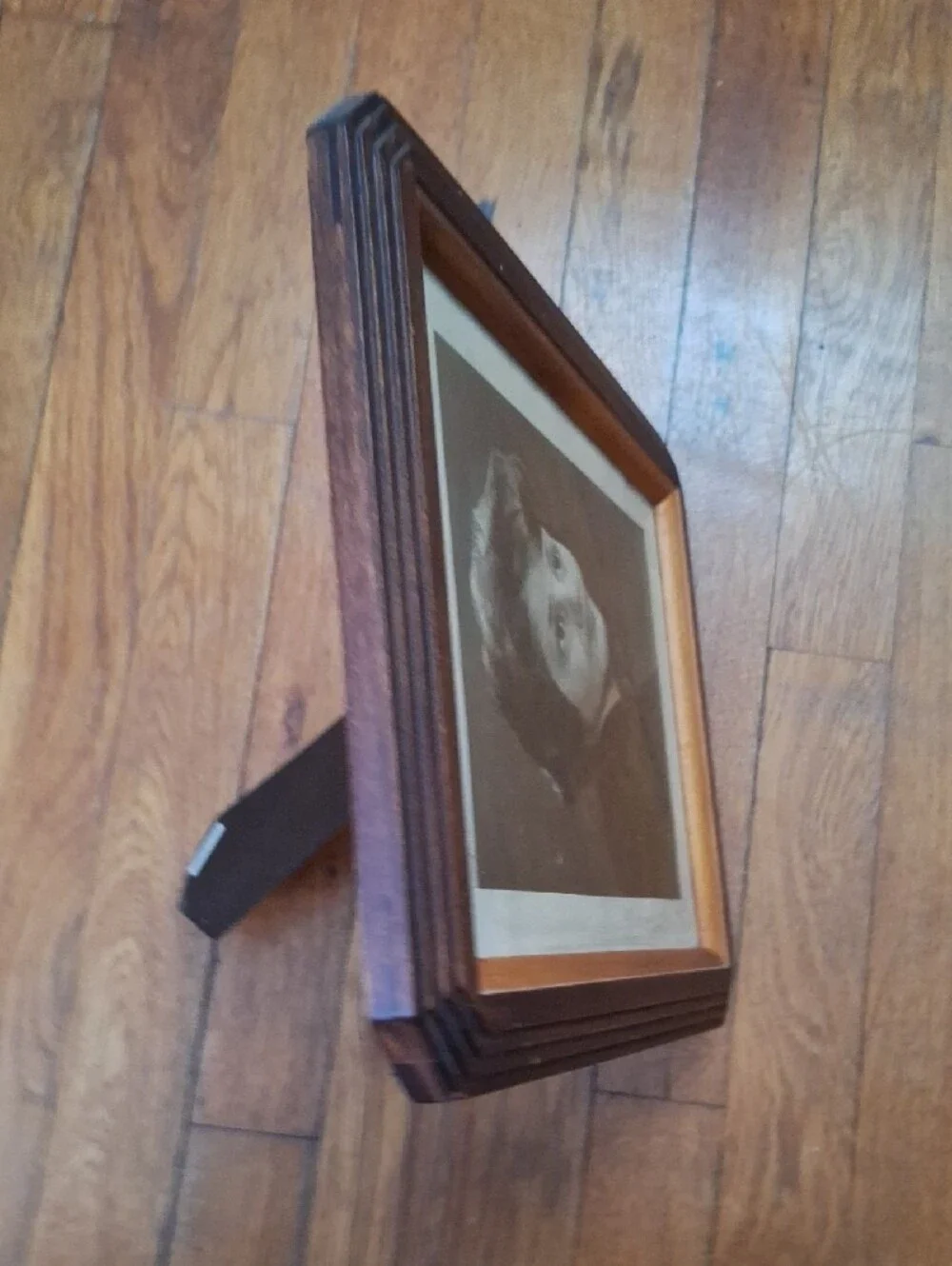 Classic Wooden Picture Frame in Dark Brown and Light Brown